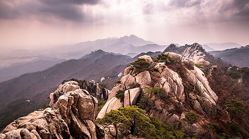道峰區