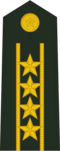 中國人民解放軍陸軍大校肩章