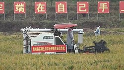 衡南县一个农业合作社的收割机参与袁隆平主导的杂交水稻试验,摄于2020年11月