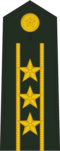 上校