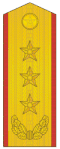 上将