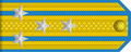 中國人民解放軍空軍大校肩章（1955年式）
