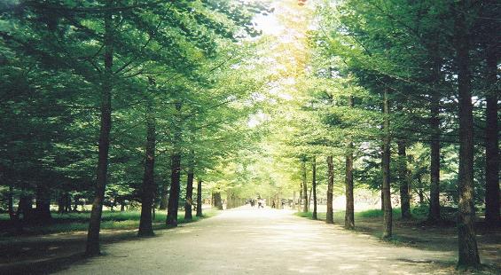 春川市
