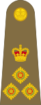 英國陸軍准將肩章