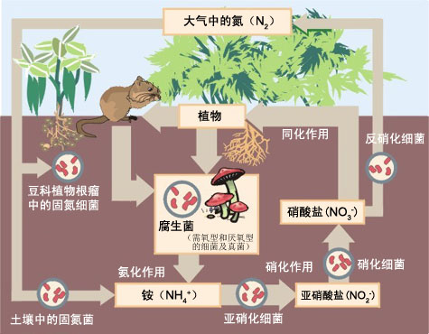 自然地理学