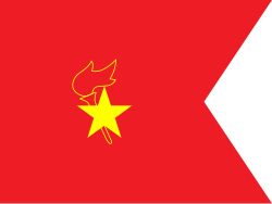 中队旗