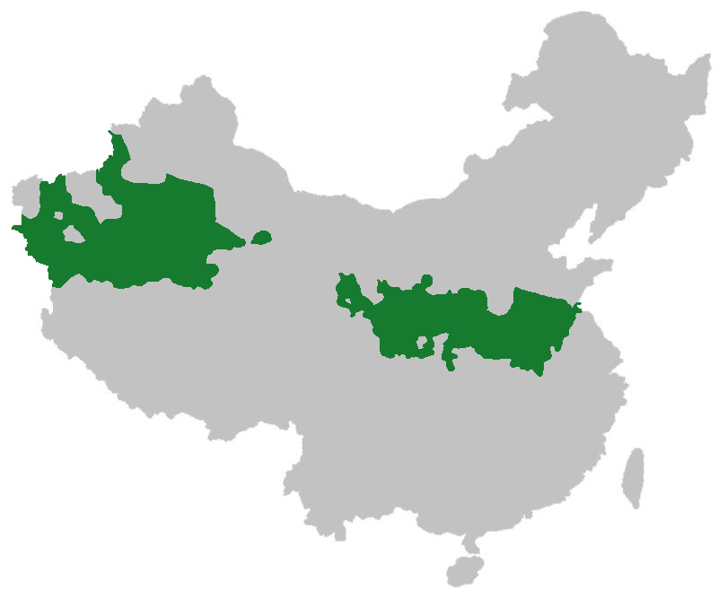 聊泰小片