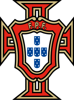 Shirt badge/Association crest