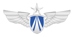 空军胸标