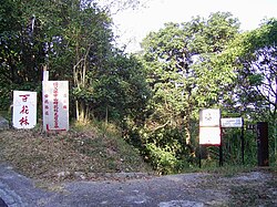 孫中山母親楊氏葬於香港飛鵝山百花林