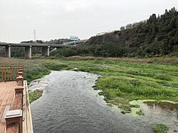 柏临河