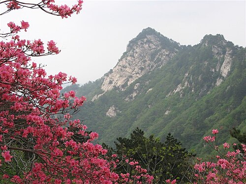 麻城