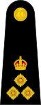 英國皇家海軍陸戰隊准將肩章
