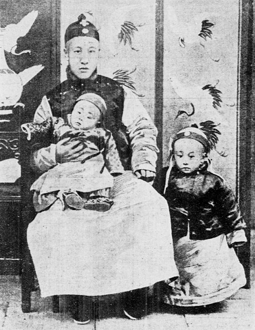 载沣