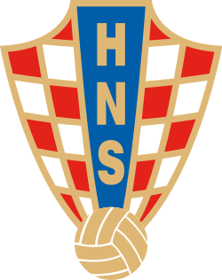 Shirt badge/Association crest