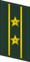 武警中校