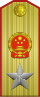 中华人民共和国元帅肩章