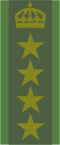 瑞典陸軍大校肩章