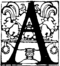 艺术门类