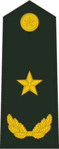 少将