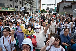反對罷免中國國民黨立法委員的民眾。