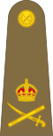 中將