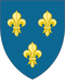 百合花飾(Fleur-de-lis)