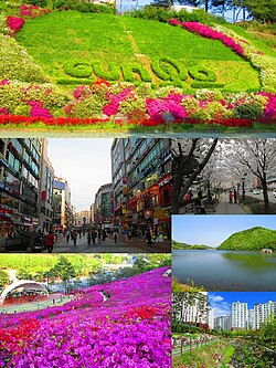 上:修理山站附近的军浦市logo 下右:衿井洞(韓語:금정동)的樱花、半月水库、军浦洞(韓語:군포동)的公寓 下左:山本新都市(韓語:산본신도시)、山踯躅园
