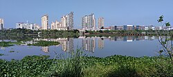 从潋江湿地国家公园眺望西边的城区
