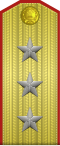 上将